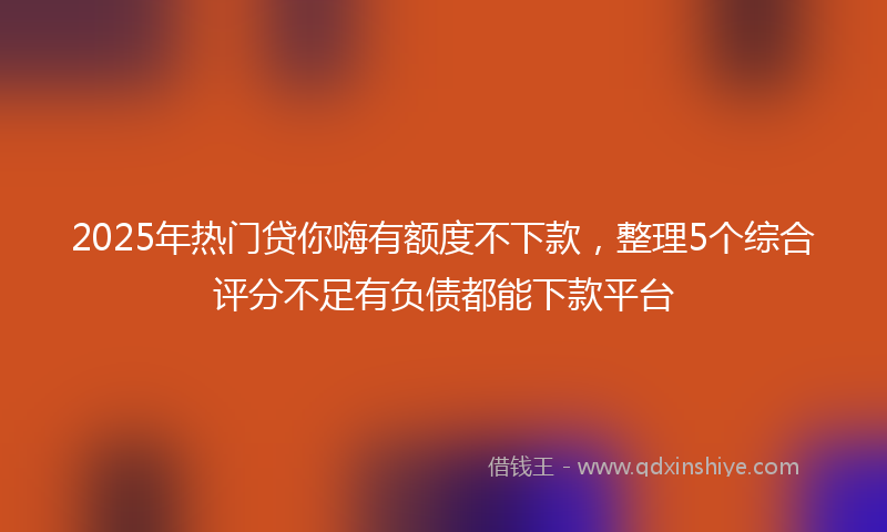2025年热门贷你嗨有额度不下款，整理5个综合评分不足有负债都能下款平台