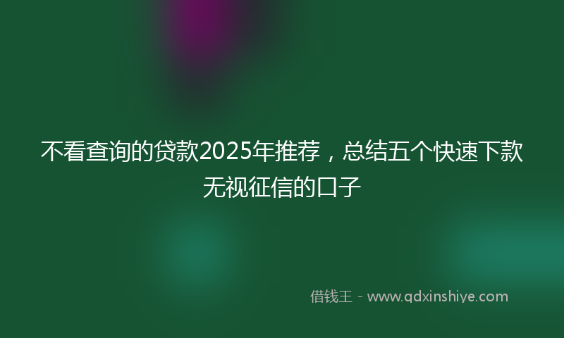 不看查询的贷款2025年推荐，总结五个快速下款无视征信的口子