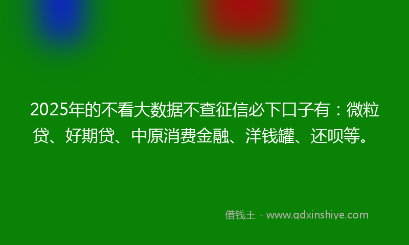 2025年的不看大数据不查征信必下口子有：微粒贷、好期贷、中原消费金融、洋钱罐、还呗等。