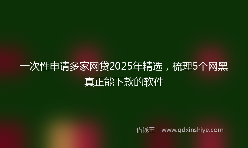 一次性申请多家网贷2025年精选，梳理5个网黑真正能下款的软件