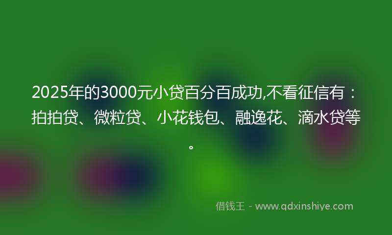 2025年的3000元小贷百分百成功,不看征信有：拍拍贷、微粒贷、小花钱包、融逸花、滴水贷等。