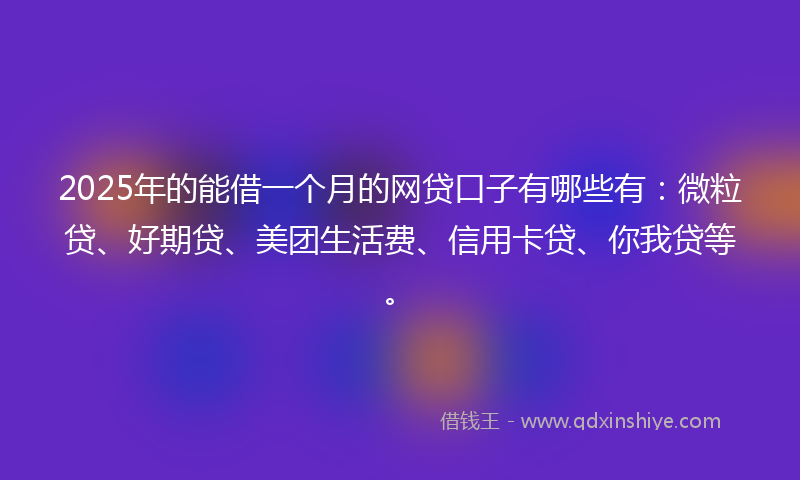2025年的能借一个月的网贷口子有哪些有：微粒贷、好期贷、美团生活费、信用卡贷、你我贷等。