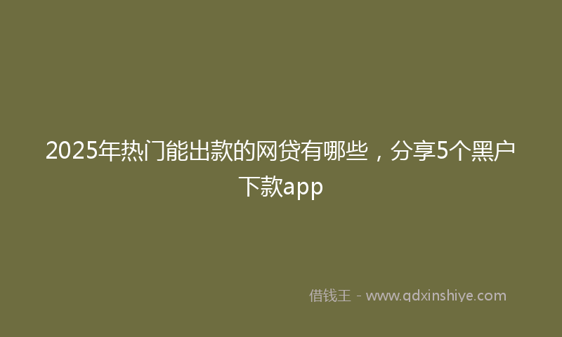 2025年热门能出款的网贷有哪些，分享5个黑户下款app