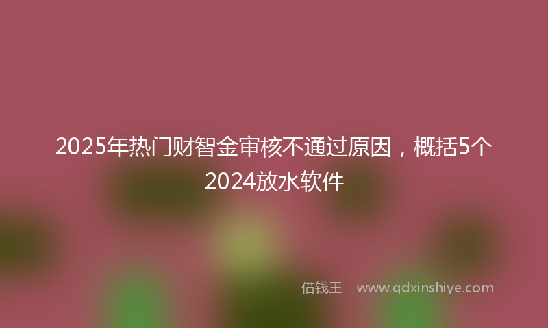 2025年热门财智金审核不通过原因，概括5个2024放水软件