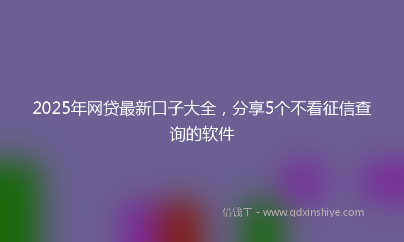 2025年网贷最新口子大全，分享5个不看征信查询的软件