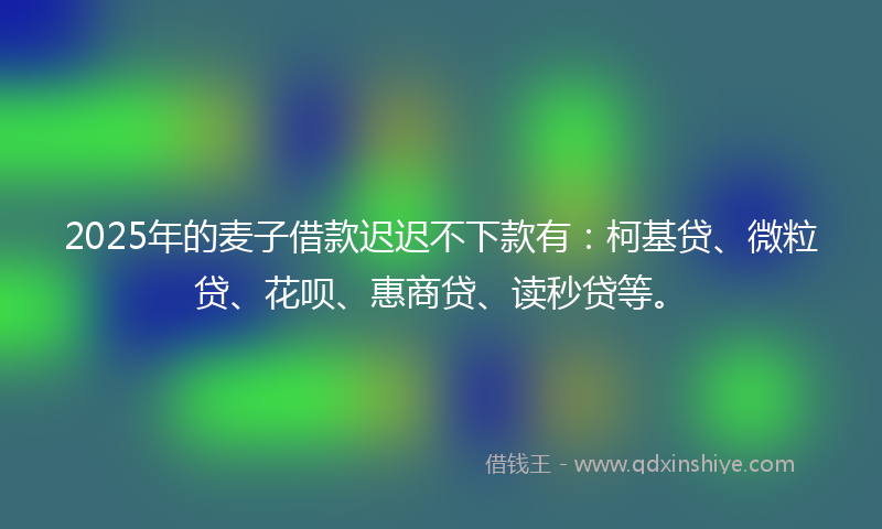 2025年的麦子借款迟迟不下款有:柯基贷、微粒贷、花呗、惠商贷、读秒贷等。