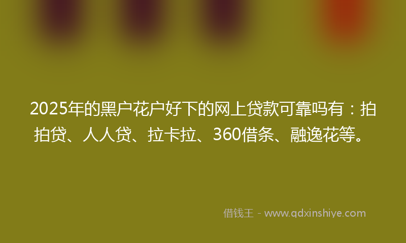 2025年的黑户花户好下的网上贷款可靠吗有：拍拍贷、人人贷、拉卡拉、360借条、融逸花等。
