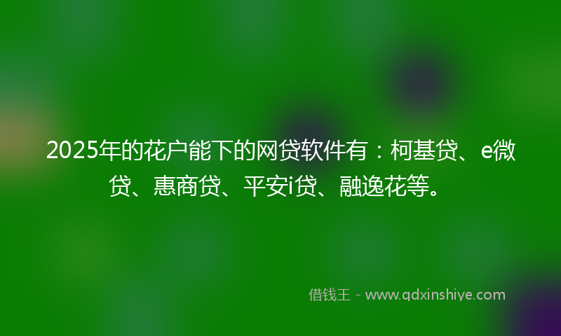 2025年的花户能下的网贷软件有：柯基贷、e微贷、惠商贷、平安i贷、融逸花等。