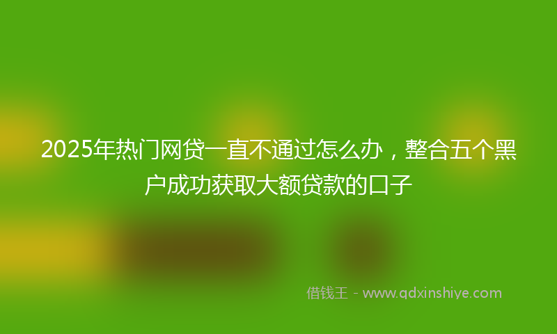 2025年热门网贷一直不通过怎么办，整合五个黑户成功获取大额贷款的口子