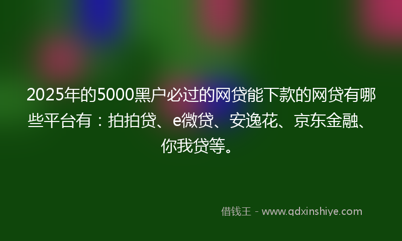 2025年的5000黑户必过的网贷能下款的网贷有哪些平台有:拍拍贷、e微贷、安逸花、京东金融、你我贷等。