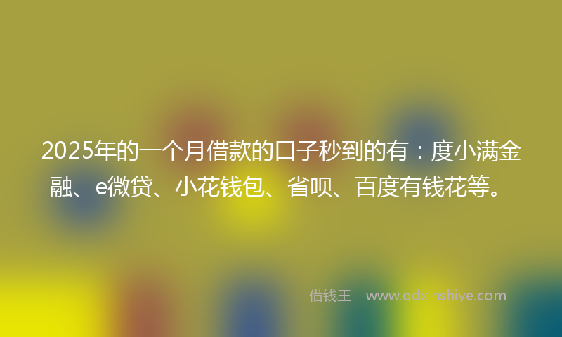 2025年的一个月借款的口子秒到的有：度小满金融、e微贷、小花钱包、省呗、百度有钱花等。
