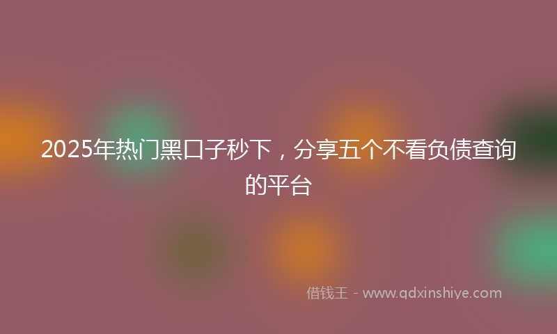 2025年热门黑口子秒下，分享五个不看负债查询的平台