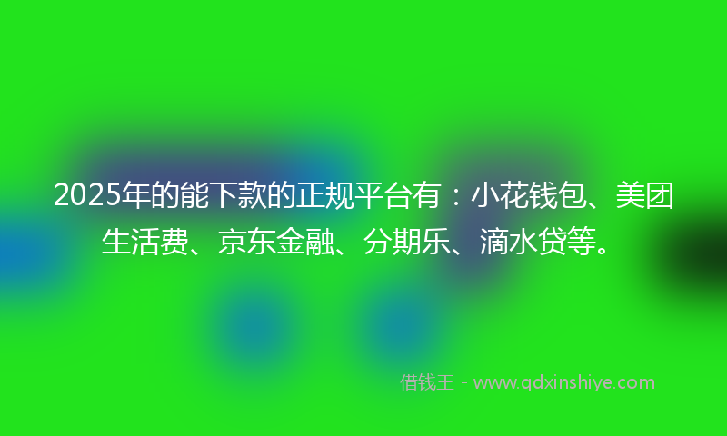 2025年的能下款的正规平台有：小花钱包、美团生活费、京东金融、分期乐、滴水贷等。