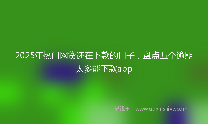 2025年热门网贷还在下款的口子，盘点五个逾期太多能下款app