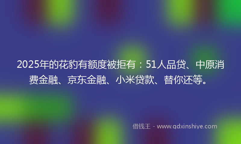 2025年的花豹有额度被拒有：51人品贷、中原消费金融、京东金融、小米贷款、替你还等。