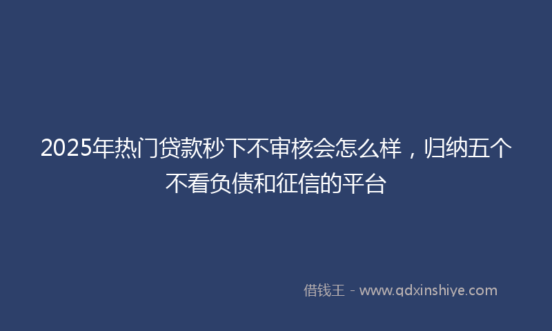 2025年热门贷款秒下不审核会怎么样，归纳五个不看负债和征信的平台