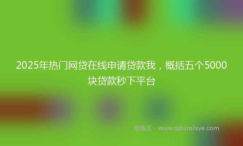 2025年热门网贷在线申请贷款我，概括五个5000块贷款秒下平台