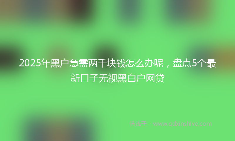 2025年黑户急需两千块钱怎么办呢，盘点5个最新口子无视黑白户网贷