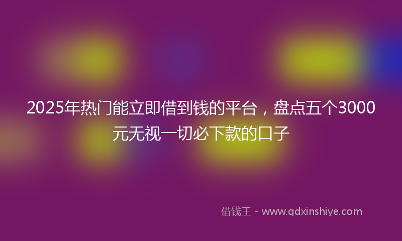 2025年热门能立即借到钱的平台,盘点五个3000元无视一切必下款的口子