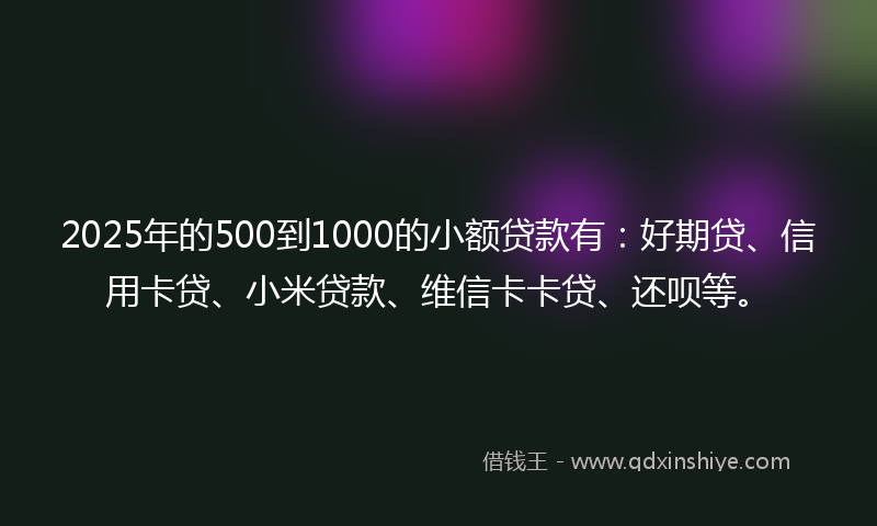 2025年的500到1000的小额贷款有：好期贷、信用卡贷、小米贷款、维信卡卡贷、还呗等。