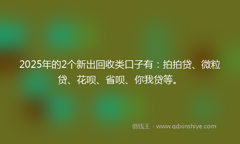 2025年的2个新出回收类口子有：拍拍贷、微粒贷、花呗、省呗、你我贷等。