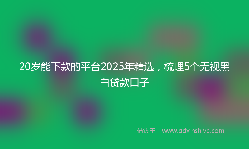 20岁能下款的平台2025年精选，梳理5个无视黑白贷款口子