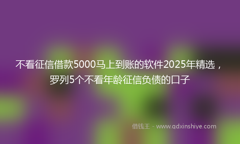 不看征信借款5000马上到账的软件2025年精选，罗列5个不看年龄征信负债的口子