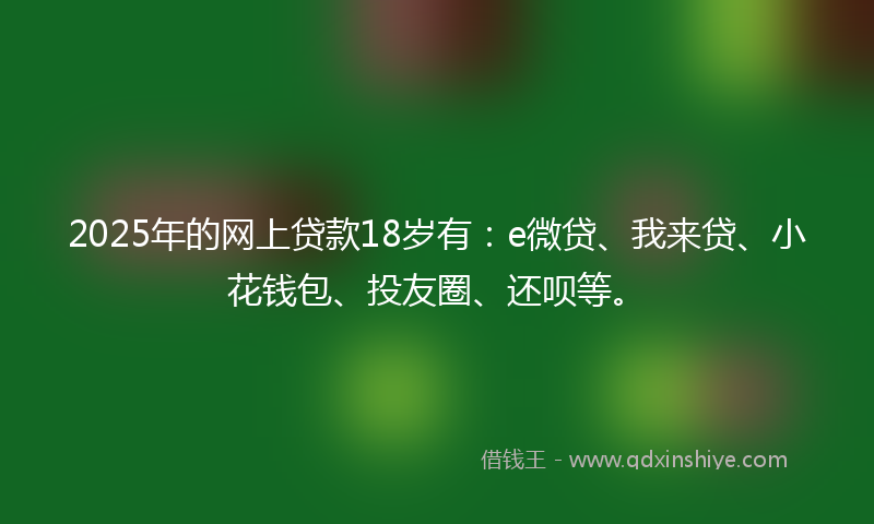 2025年的网上贷款18岁有：e微贷、我来贷、小花钱包、投友圈、还呗等。