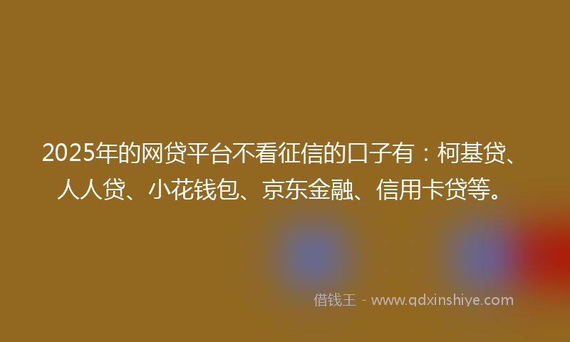 2025年的网贷平台不看征信的口子有：柯基贷、人人贷、小花钱包、京东金融、信用卡贷等。
