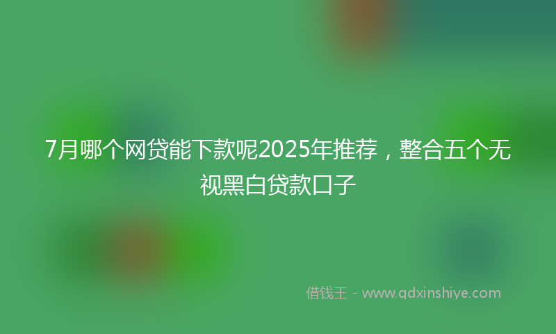 7月哪个网贷能下款呢2025年推荐,整合五个无视黑白贷款口子