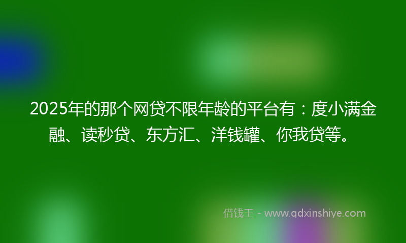 2025年的那个网贷不限年龄的平台有：度小满金融、读秒贷、东方汇、洋钱罐、你我贷等。