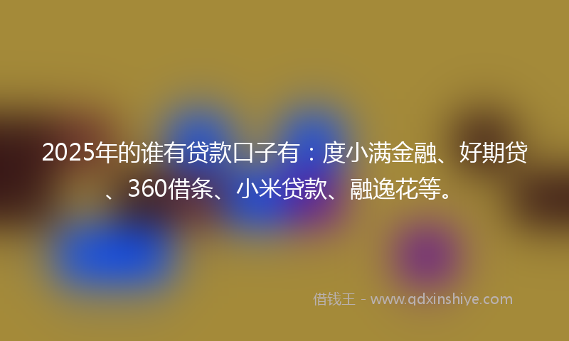 2025年的谁有贷款口子有：度小满金融、好期贷、360借条、小米贷款、融逸花等。