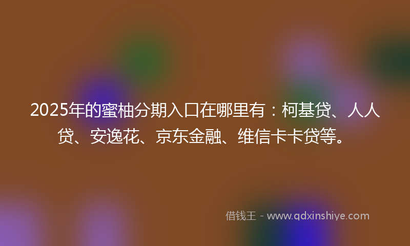 2025年的蜜柚分期入口在哪里有：柯基贷、人人贷、安逸花、京东金融、维信卡卡贷等。