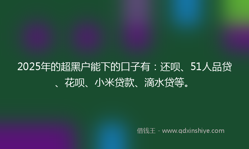 2025年的超黑户能下的口子有：还呗、51人品贷、花呗、小米贷款、滴水贷等。