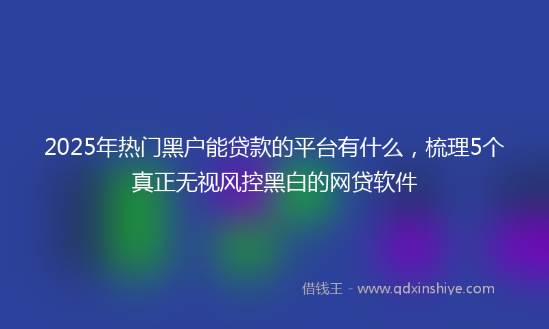 2025年热门黑户能贷款的平台有什么，梳理5个真正无视风控黑白的网贷软件