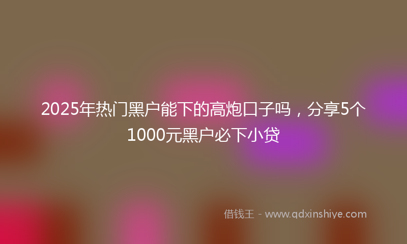 2025年热门黑户能下的高炮口子吗，分享5个1000元黑户必下小贷