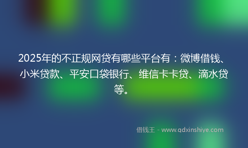 2025年的不正规网贷有哪些平台有：微博借钱、小米贷款、平安口袋银行、维信卡卡贷、滴水贷等。