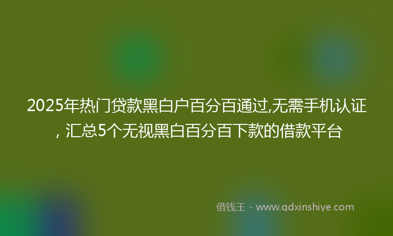 2025年热门贷款黑白户百分百通过,无需手机认证，汇总5个无视黑白百分百下款的借款平台