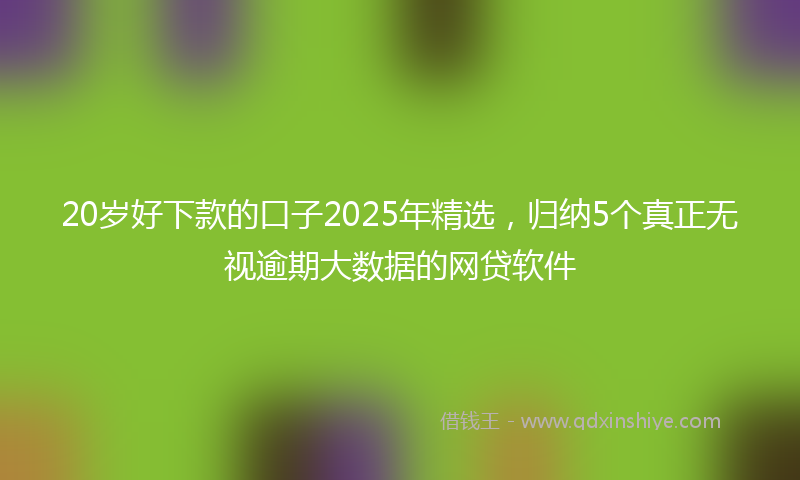 20岁好下款的口子2025年精选，归纳5个真正无视逾期大数据的网贷软件