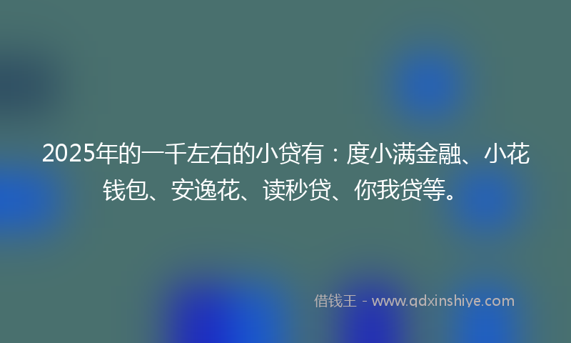 2025年的一千左右的小贷有：度小满金融、小花钱包、安逸花、读秒贷、你我贷等。