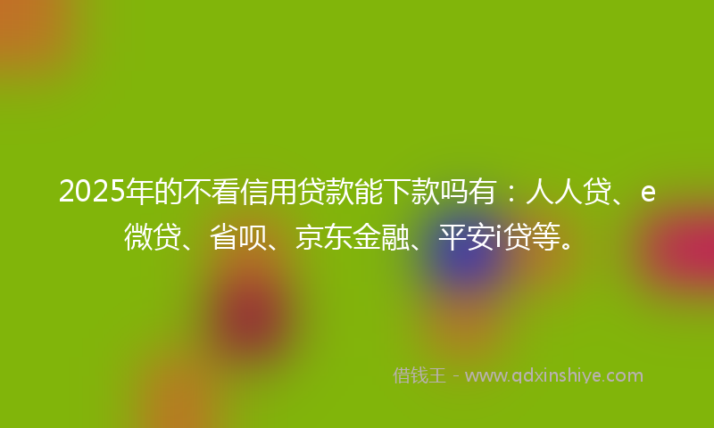 2025年的不看信用贷款能下款吗有：人人贷、e微贷、省呗、京东金融、平安i贷等。