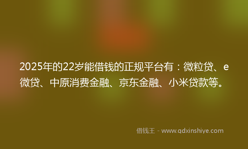2025年的22岁能借钱的正规平台有：微粒贷、e微贷、中原消费金融、京东金融、小米贷款等。