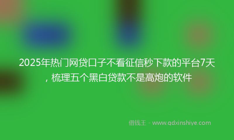 2025年热门网贷口子不看征信秒下款的平台7天，梳理五个黑白贷款不是高炮的软件
