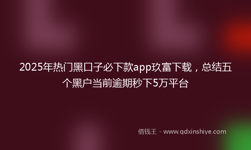 2025年热门黑口子必下款app玖富下载，总结五个黑户当前逾期秒下5万平台