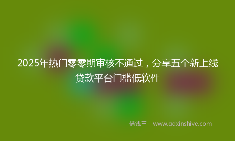 2025年热门零零期审核不通过，分享五个新上线贷款平台门槛低软件