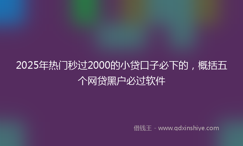 2025年热门秒过2000的小贷口子必下的，概括五个网贷黑户必过软件