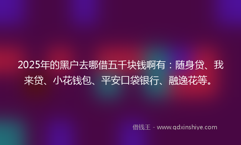 2025年的黑户去哪借五千块钱啊有：随身贷、我来贷、小花钱包、平安口袋银行、融逸花等。