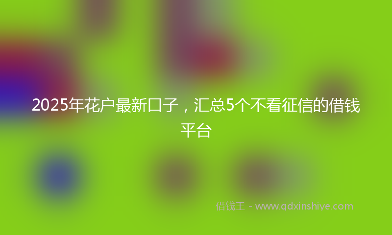 2025年花户最新口子，汇总5个不看征信的借钱平台