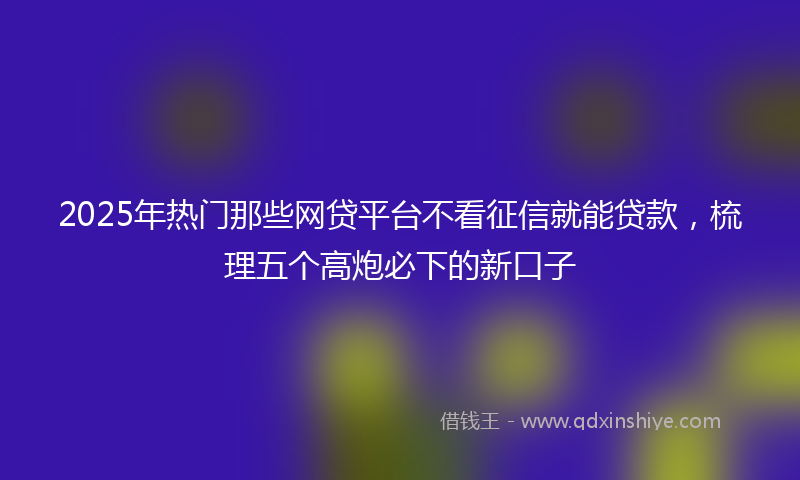 2025年热门那些网贷平台不看征信就能贷款，梳理五个高炮必下的新口子