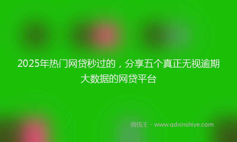 2025年热门网贷秒过的，分享五个真正无视逾期大数据的网贷平台
